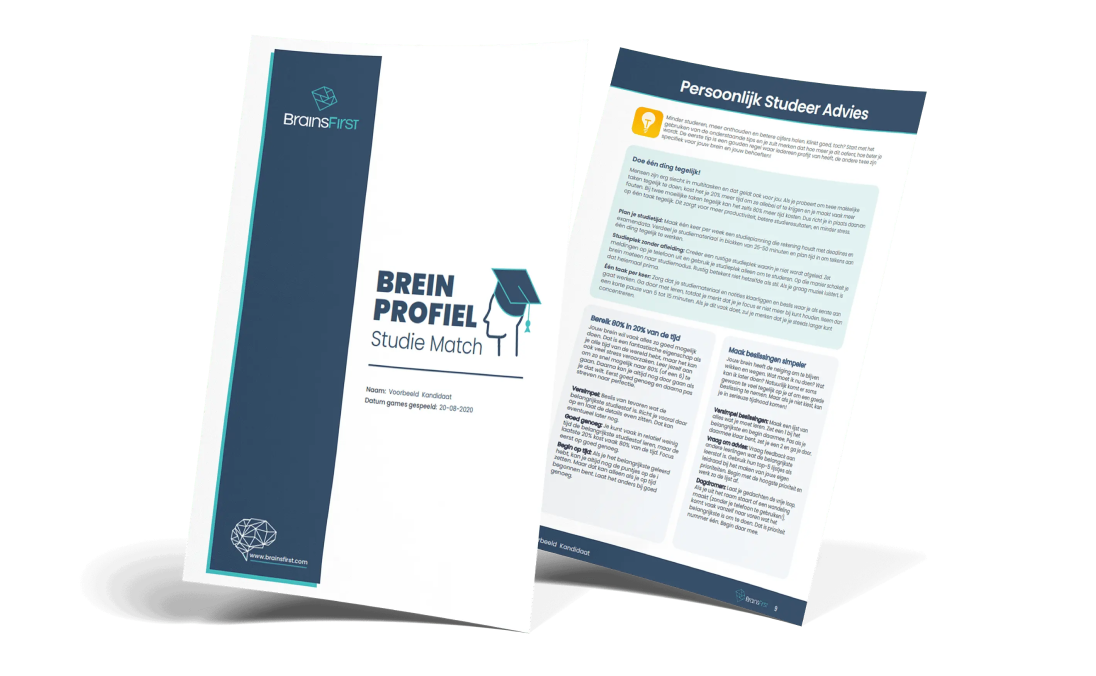 Voorbeeld van een BreinProfiel rapport